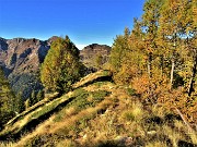 19 Percorriamo sentierino tra larici colorati d'autunno baciati dal sole